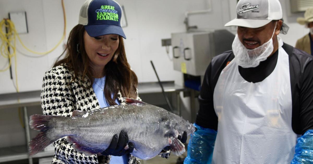 USDA secretary, Andy Harris announce $6M in grants for blue catfish ...