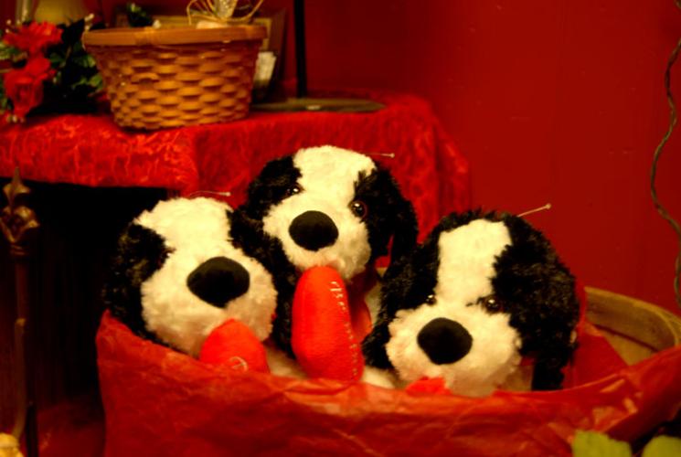 Patti's Petals florist in Denton Featured