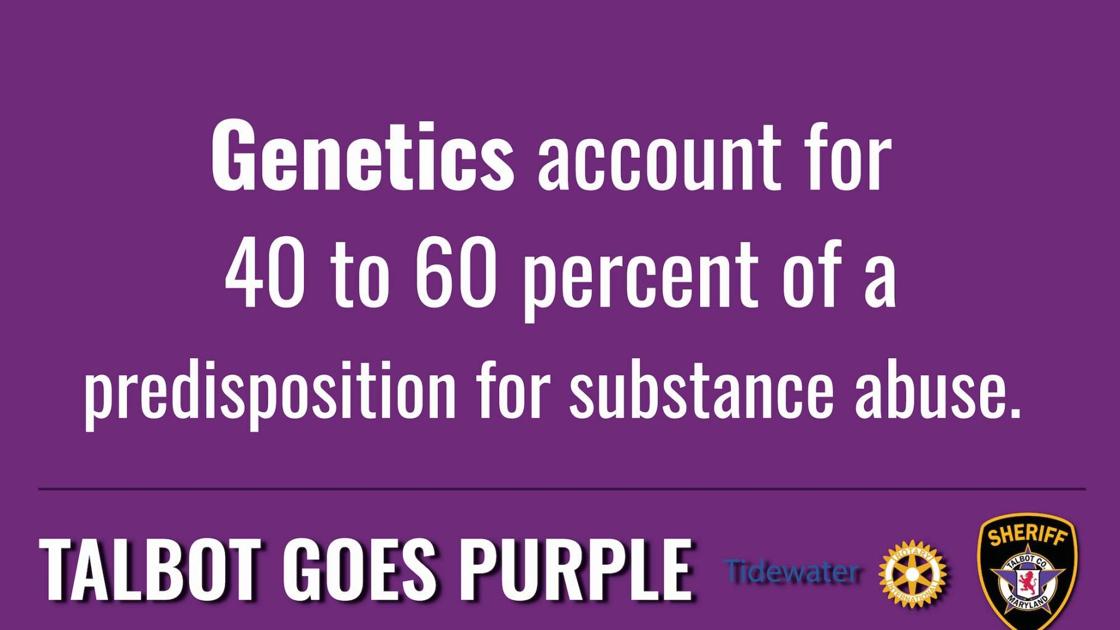 Genes Play A Key Role In Substance Use Disorder Talbot Goes Purple Stardem Com
