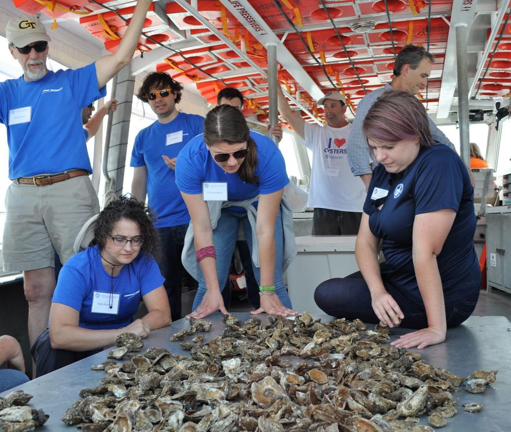 Bay foundation DNR oyster limits 'halfhearted' Local