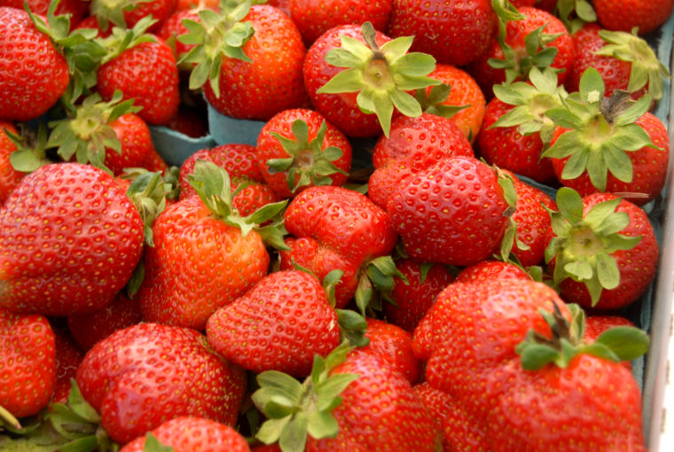 The 34th annual Ridgely Strawberry Festival Photos