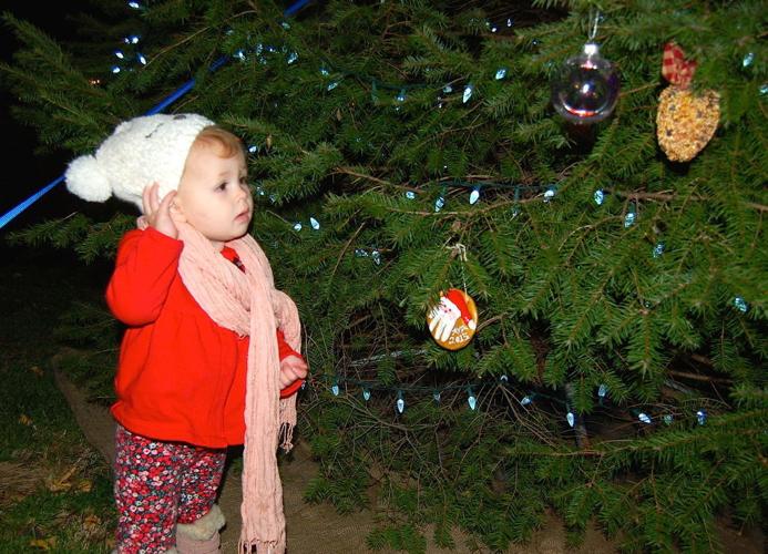 Centreville holds tree lighting before parade Local