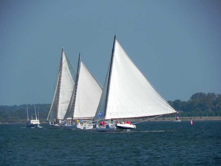 Winners announced in skipjack races in Cambridge Saturday Featured