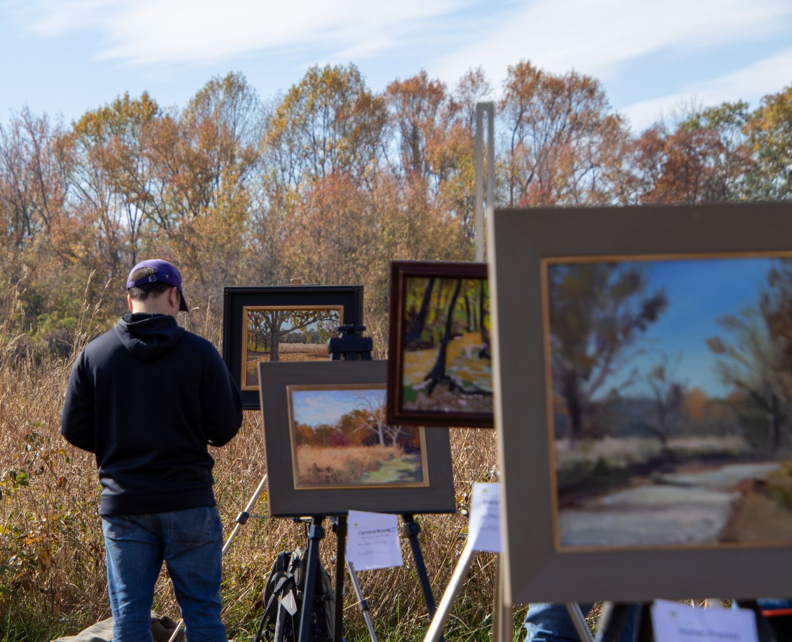 Artists Dazzle At Second Annual Plein Air Adkins | Local | Stardem.com