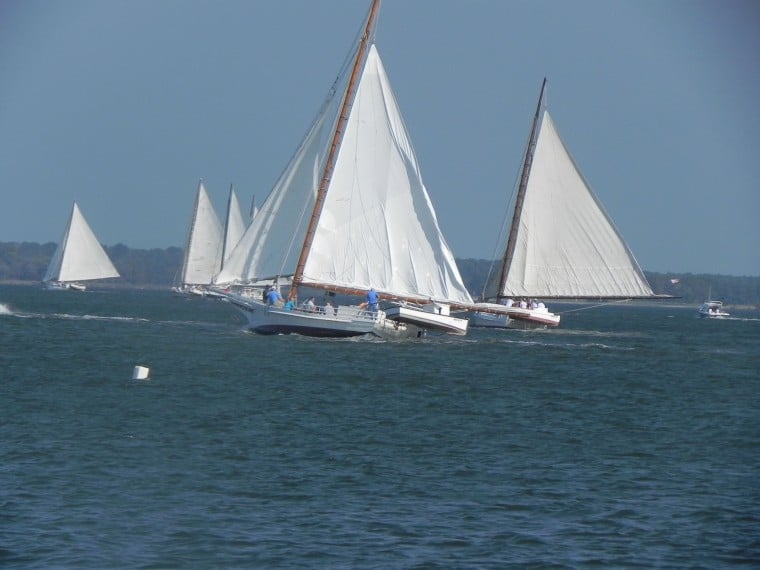 Winners announced in skipjack races in Cambridge Saturday Featured