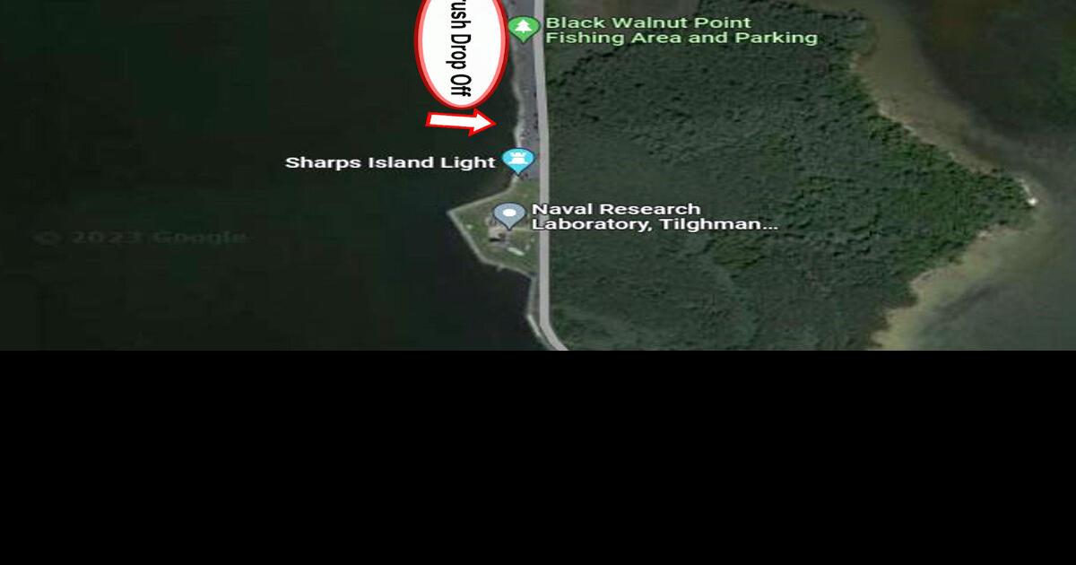 County clarifies Tilghman brush drop off rules Local