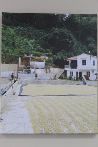 Picture of Rodrigo Del Valle 80 acre farm in Guatemala at Del Valle Coffee in Greensboro.