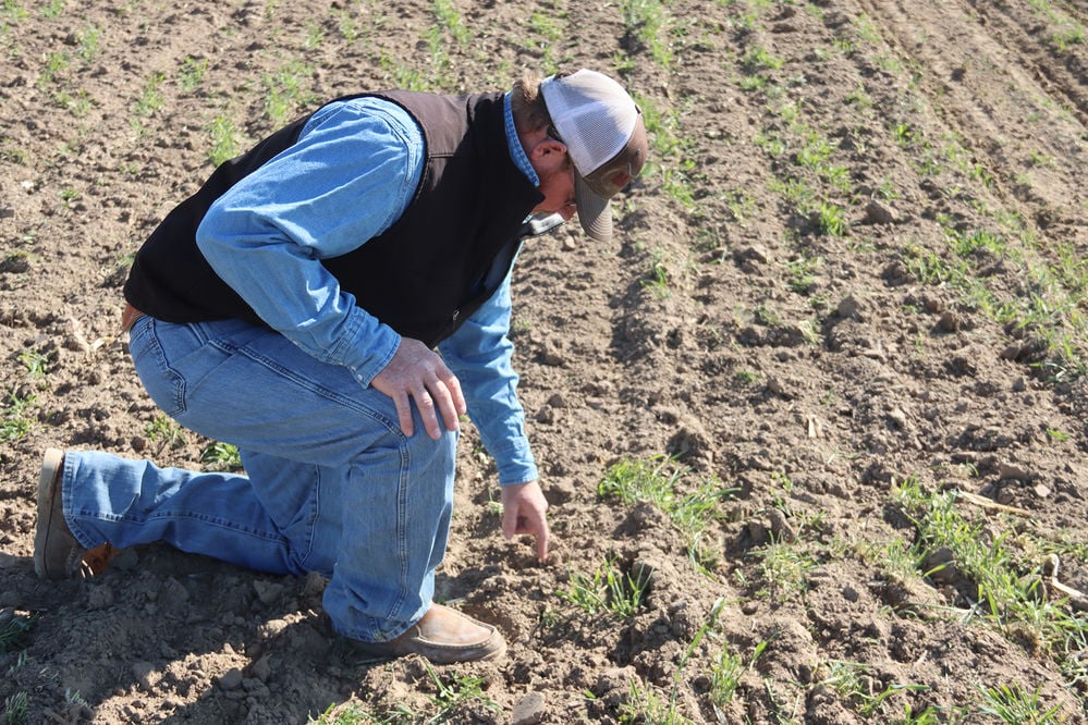 Area farmers finishing corn planting | Agriculture | starherald.com