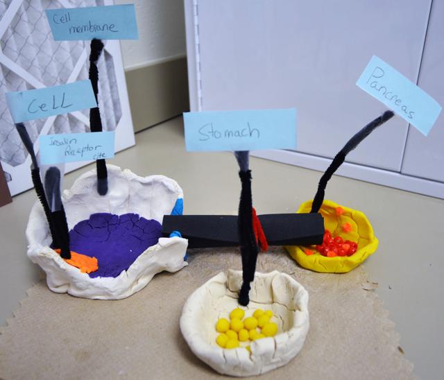 Explaining the science of diabetes Lifestyle & Youth