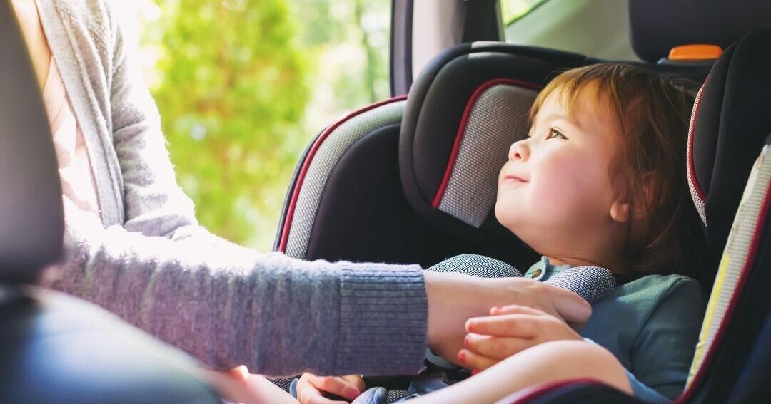 Scottsbluff Police, others working to improve seat belt usage - Vimarsana News