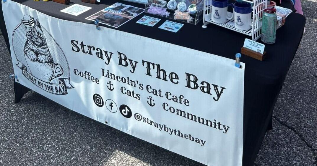 Biz Buzz: Kitties and coffee cafe, new thrift store, doughnuts and more.