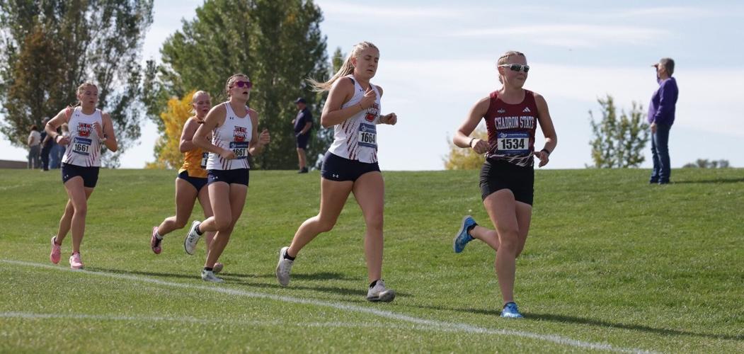 Rodewald, Bly Lead Runners at Yellowjacket/Battlin' Bears Open
