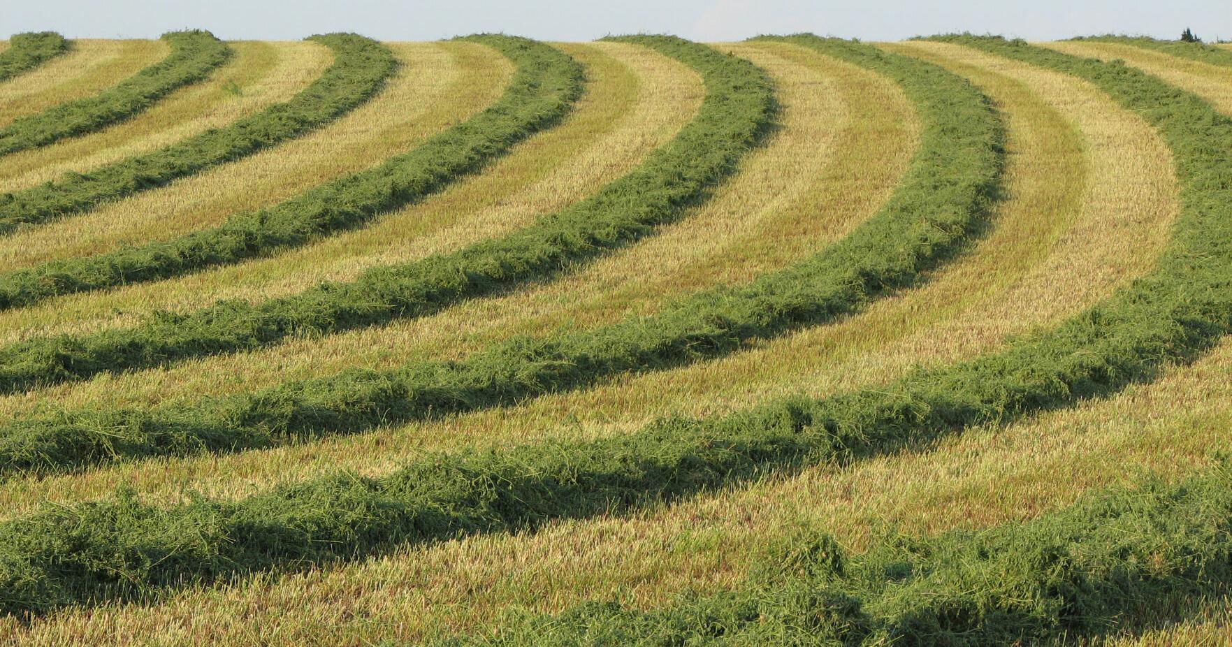 Water's worth: It sits beneath Nebraska's farmland and has serious value. But who owns it? - Vimarsana News