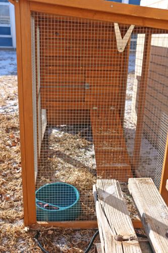 Math and ag classes give chickens new home