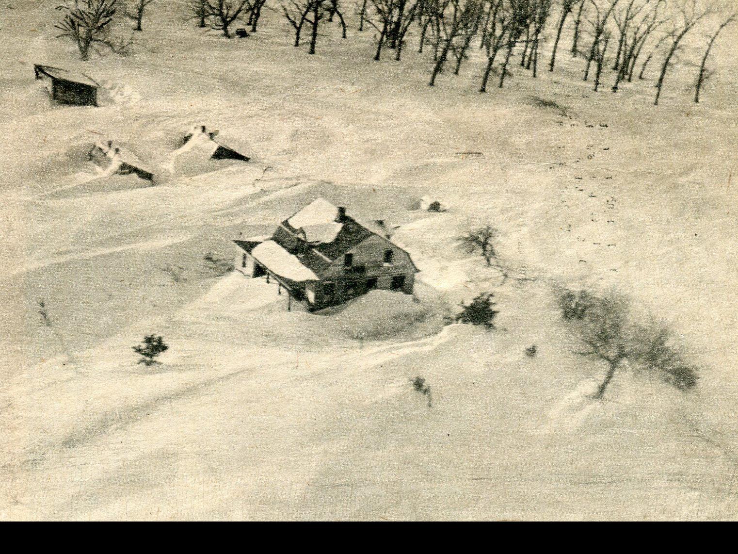 From These Roots Blizzard Of 49 Farm And Ranch Starherald Com
