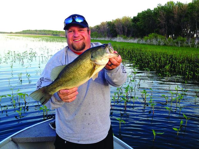 best perch lures ice fishing Ice Fishing for Perch: Fasting, Focus, and the Sweet Pea Rod