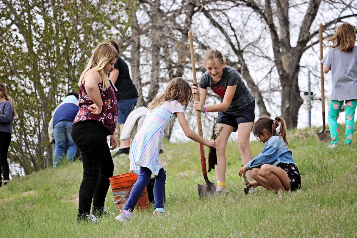 Arbor Day events highlight importance of planting trees