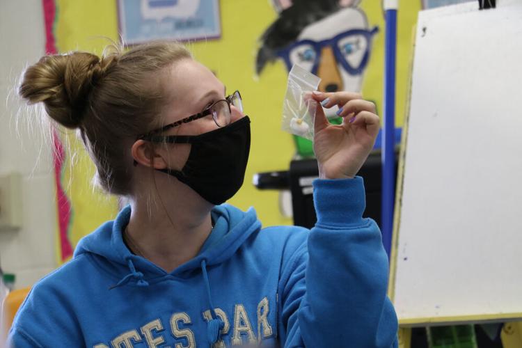 Ag teacher Carrie Johns reflects on first year of ag program at GHS.