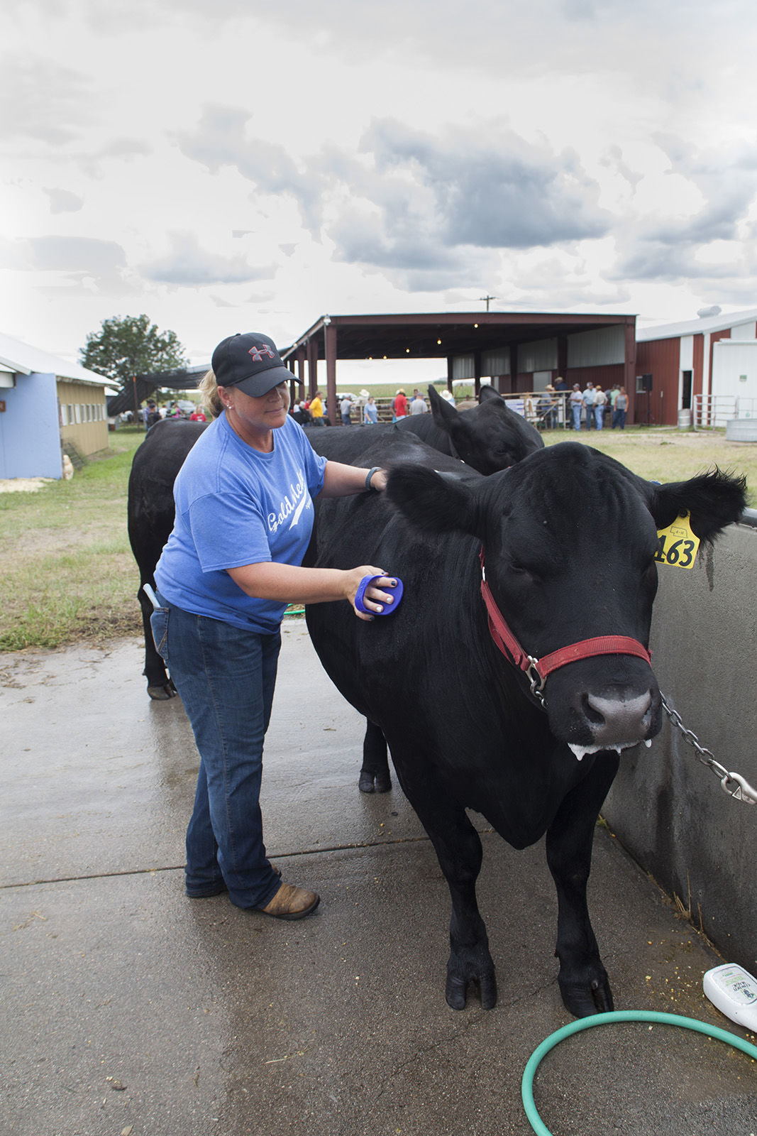 PHOTOS 2018 Morrill County Fair Beef Show Local