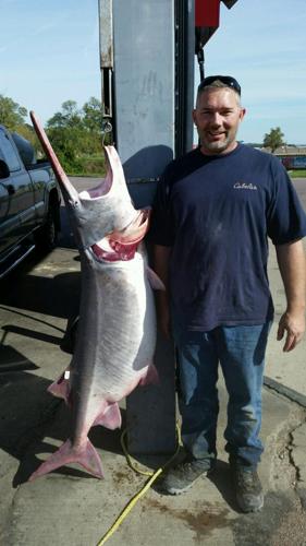 Fisherman snags 113-pound paddlefish, the largest fish ever caught in state  of Nebraska