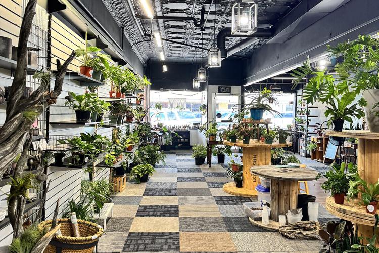 The Vine Plants New Roots in Downtown North Platte