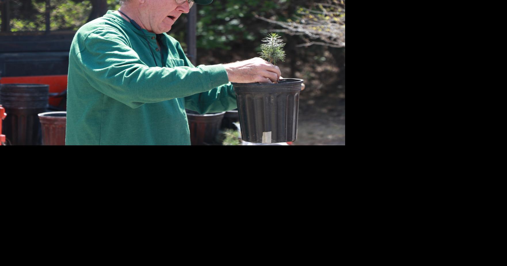 Walk in the Park planned with Gering parks board