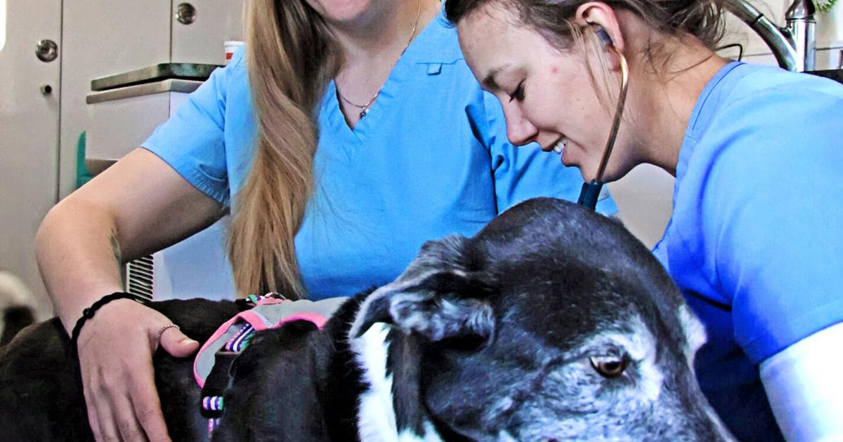 Wyobraska Veterinary Services go mobile to make services accessible Wyobraska Veterinary Services go mobile to make services accessible