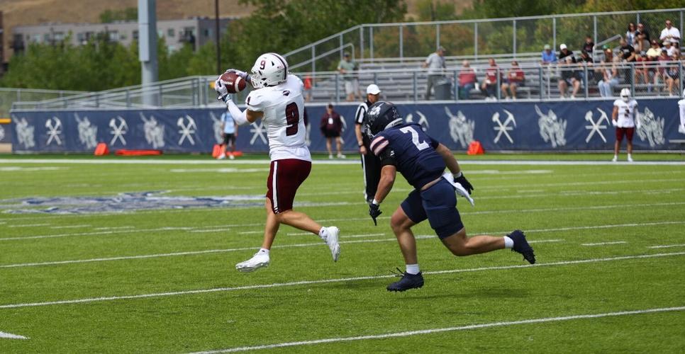 Eagles Just Outside AFCA Preseason Top 25