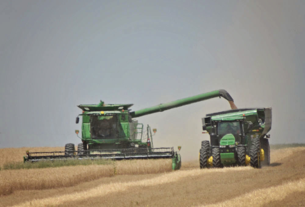 Mixed Results For Wheat Harvest Across Panhandle | Farm And Ranch ...