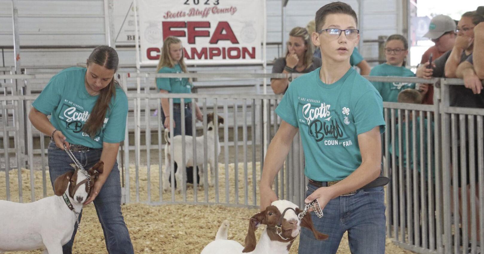 4-H'ers, FFA competitors show goats at Scotts Bluff County Fair - Vimarsana News