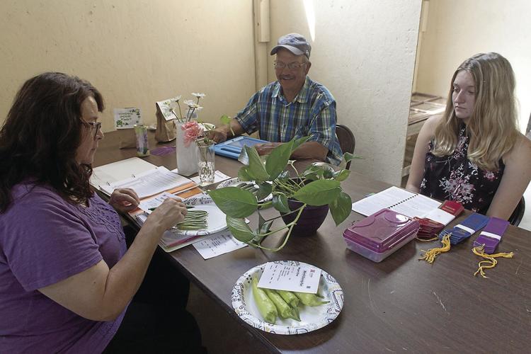 Morrill County Fair off and running, activities planned throughout the week