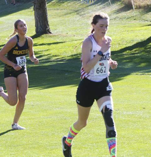 Hemingford Runners give their all at State