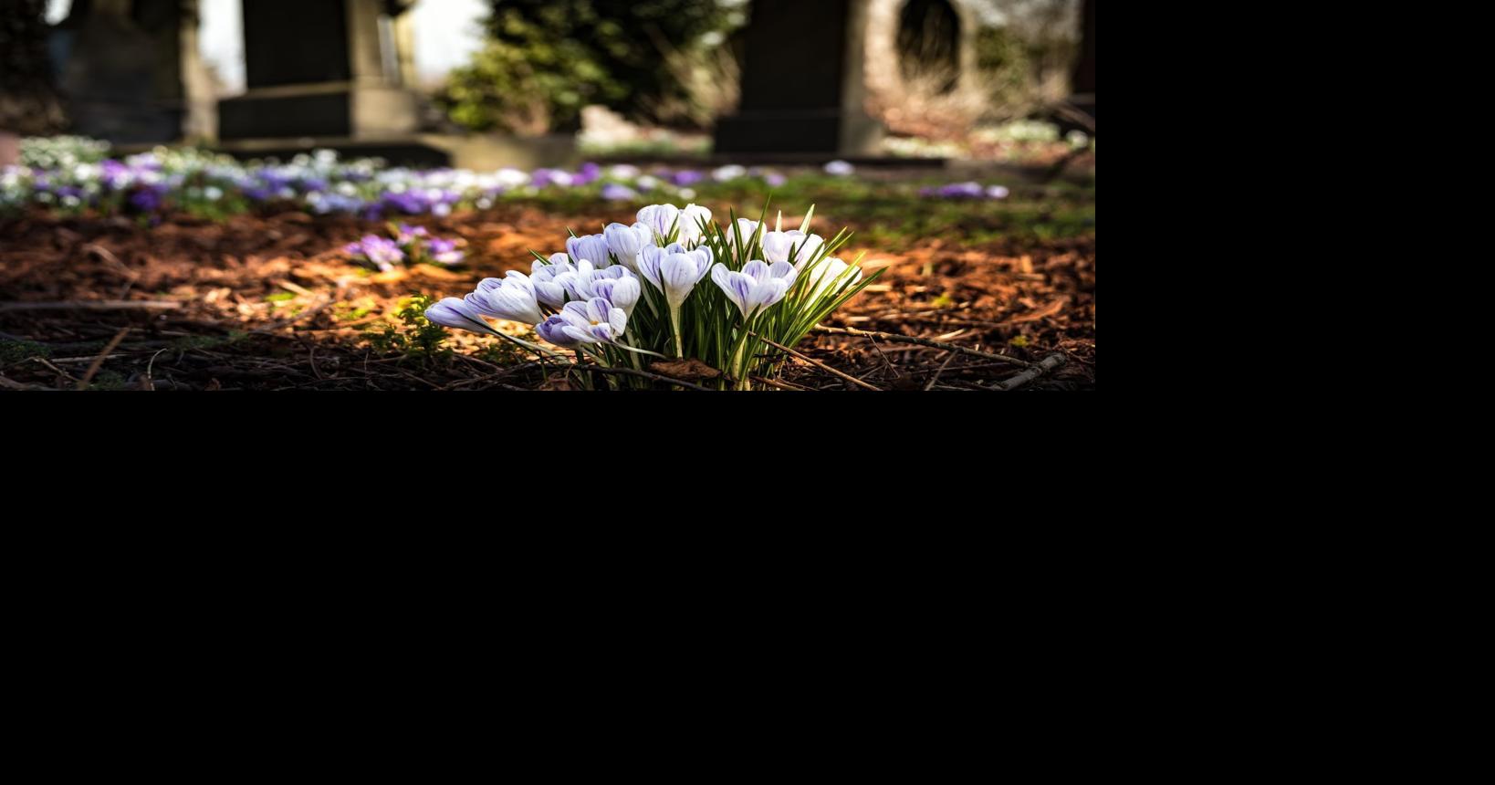 Omaha WWII veteran served in North Africa, Italy as master mechanic