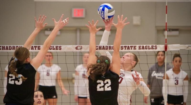 Eagle VB Hosting Adams State, New Mexico Highlands