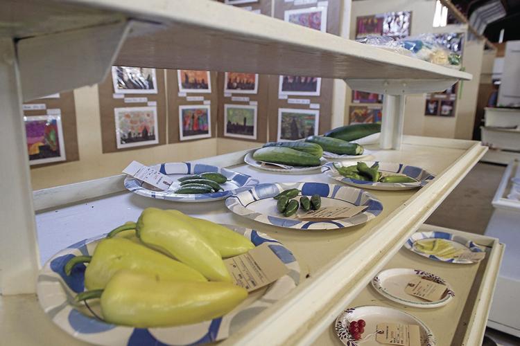 Morrill County Fair off and running, activities planned throughout the week