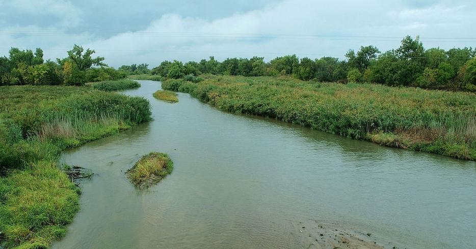 NRD announces funding available to combat noxious weeds