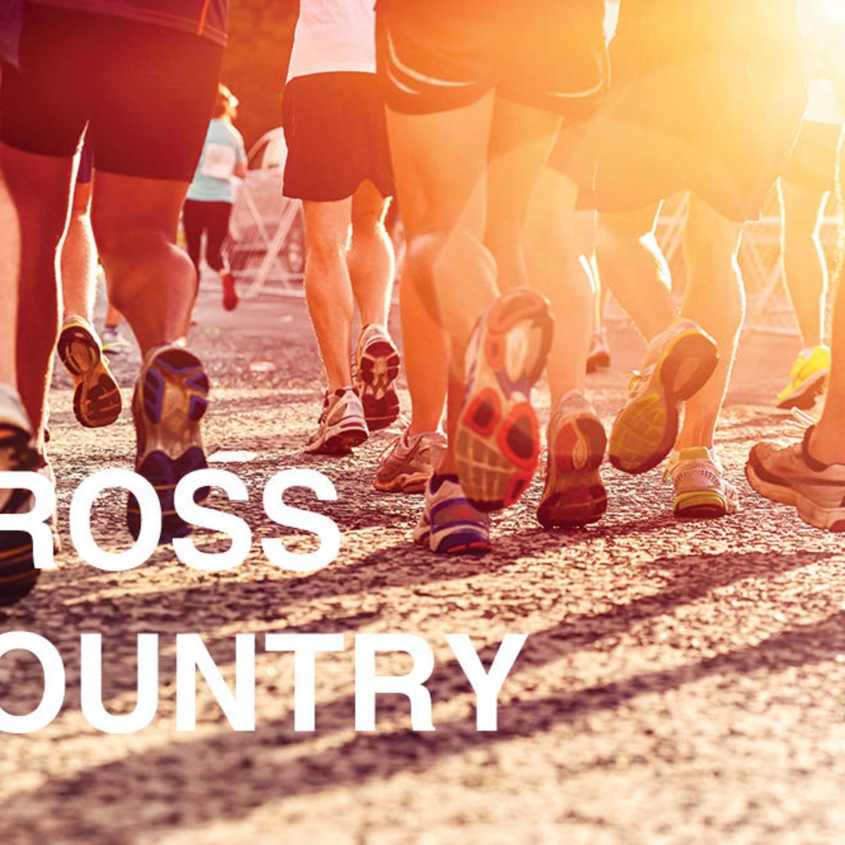 Gering Claims Western Conference Cross Country Championships Sports News Starherald Com