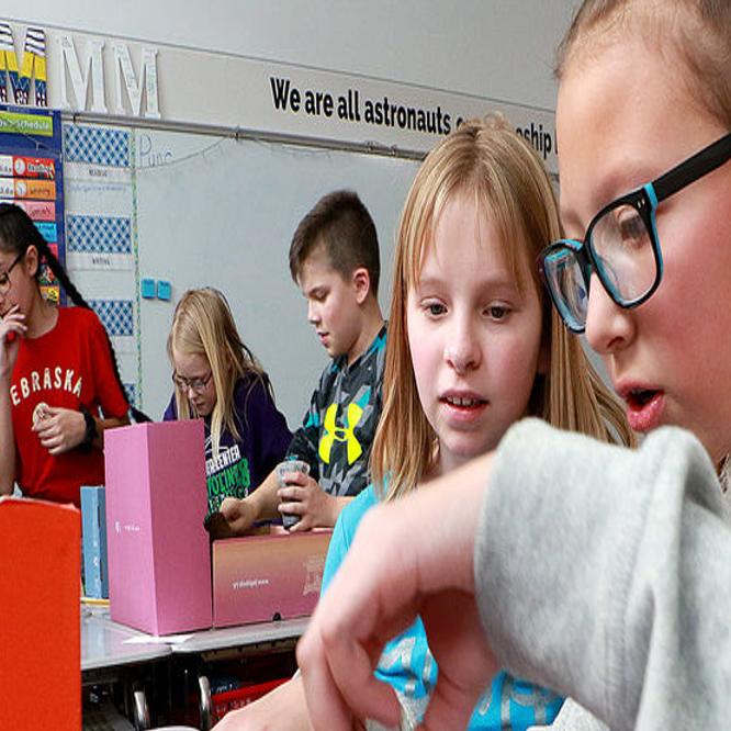 Gering fifth-graders build ecosystems diorama | Local ...