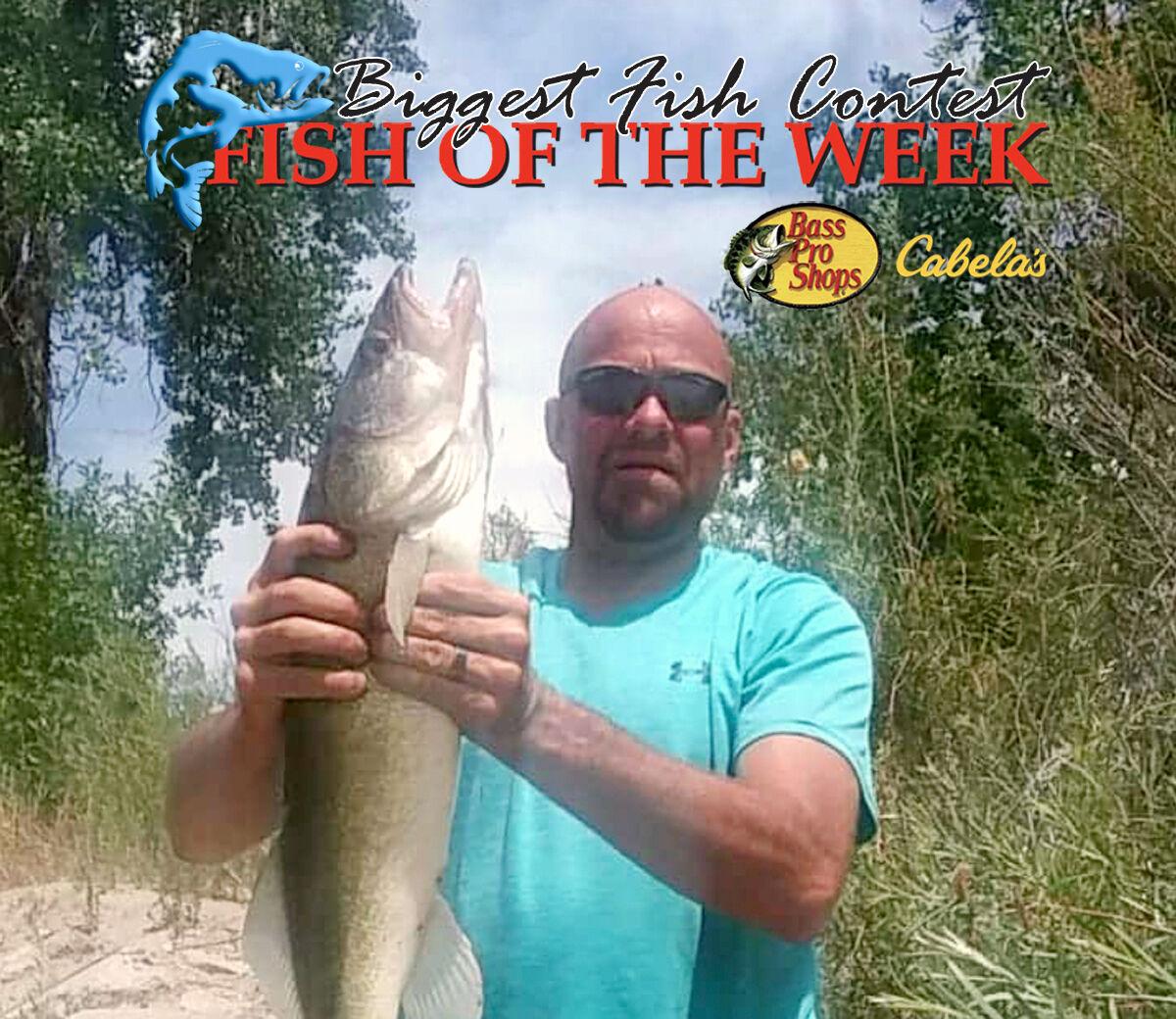 BIGGEST FISH CONTEST: Josh Wickhham lands 28-inch walleye in the North Platte River
