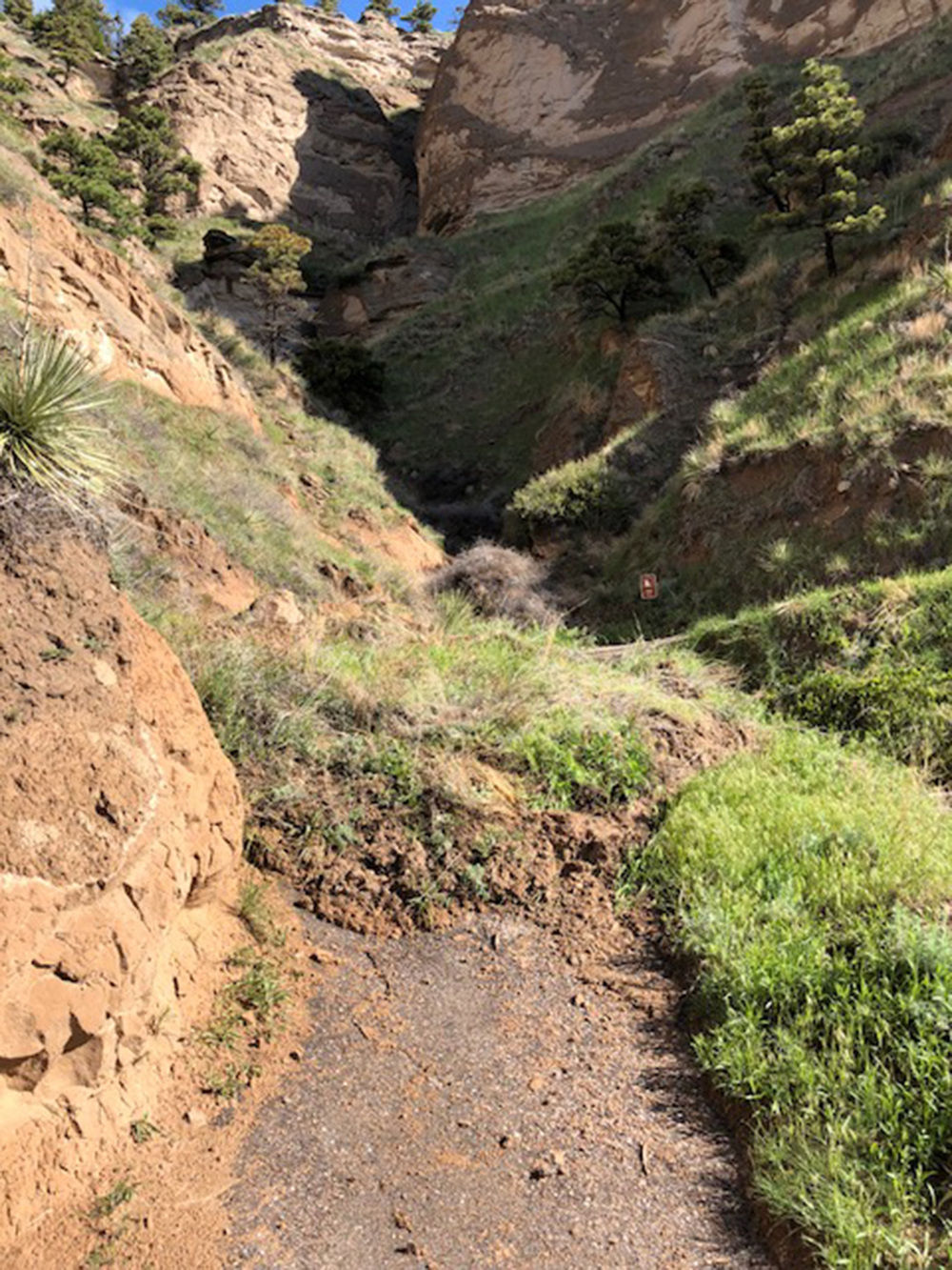 Saddle Rock Trail reopens; hikers advised to remain cautious Local