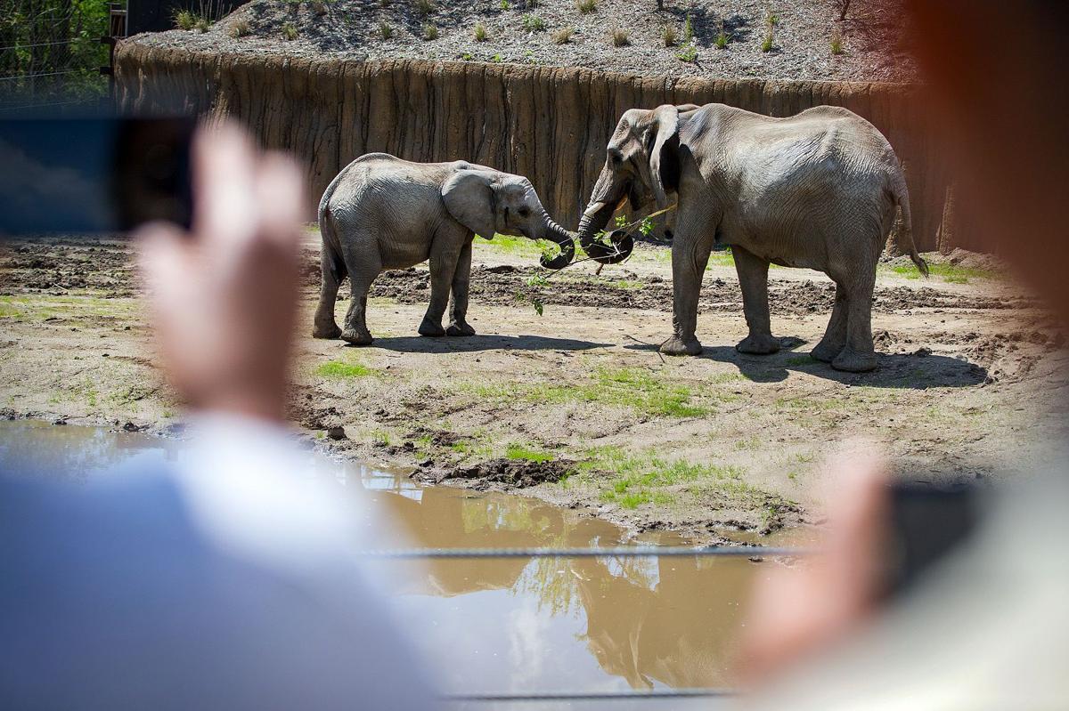 Omaha Zoo Welcomes Visitor No 2 Million This Year State And Regional News Starherald Com