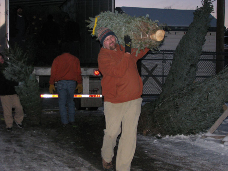 Kiwanis prepares trees for sale