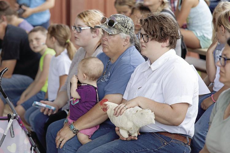 Morrill County Fair off and running, activities planned throughout the week
