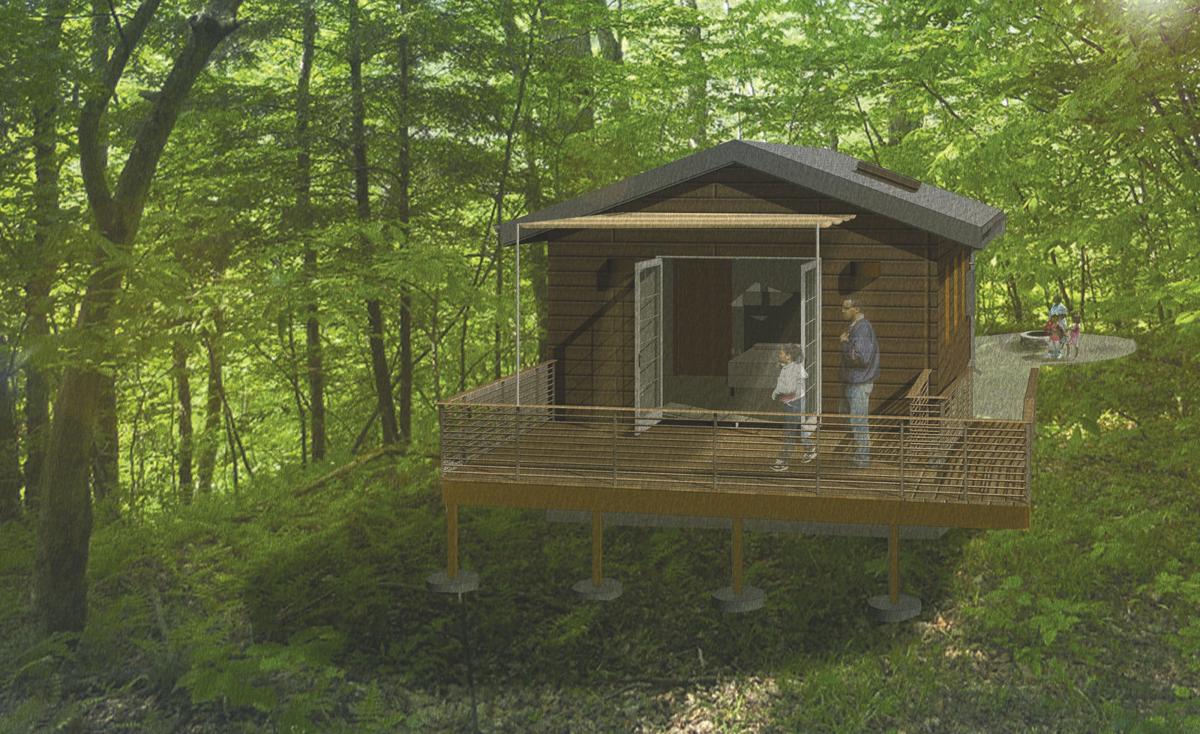 Zip Lines Alpine Slide Rock Climbing Walls And More Planned In