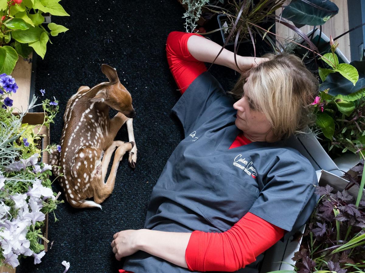 Reality TV show about Nebraska couple, 'Heartland Docs, DVM,' premieres