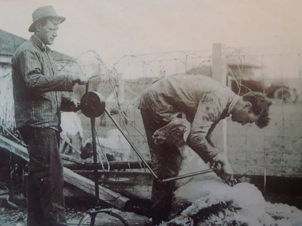 LEGACY NUGGET: Sheep industry in the Panhandle