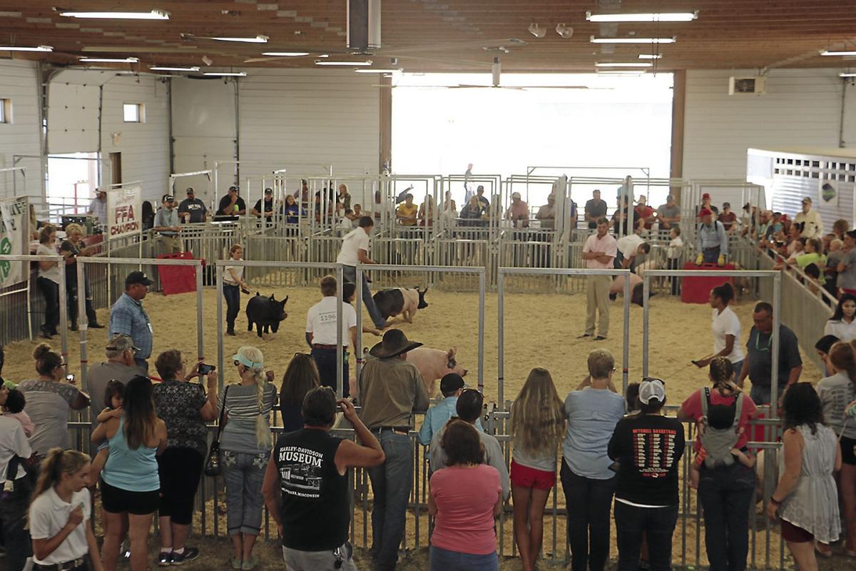 PHOTOS At the Scotts Bluff County Fair 2019 Gallery