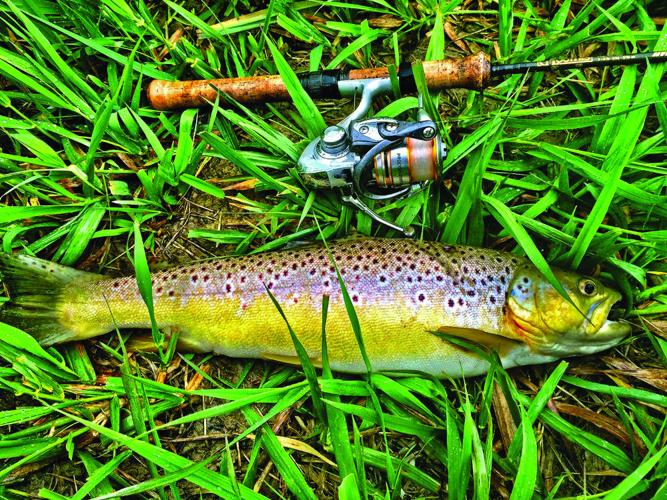 8 Great Places Nine Mile Creek