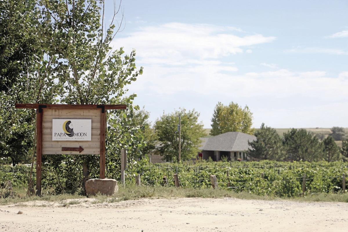 Papa Moon among Nebraska wineries showcased on wine passport