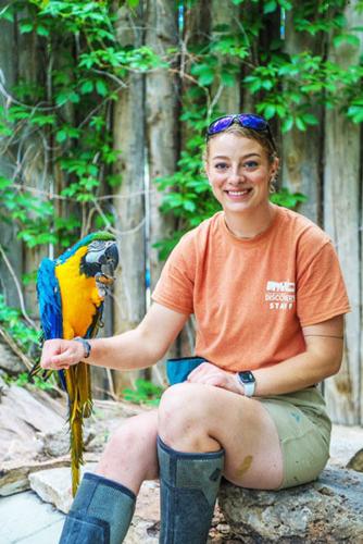 Life at the zoo